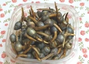 DSC00415 - コピー